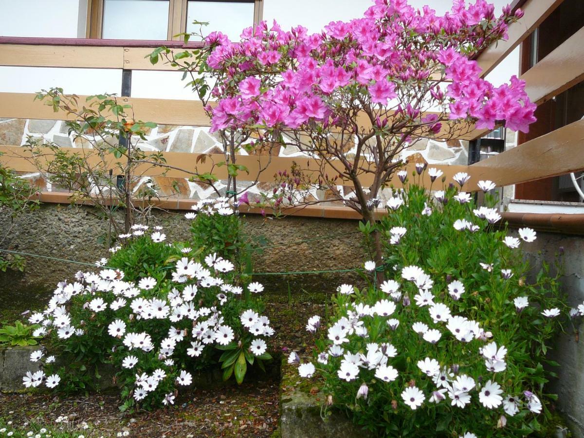 Hotel El Pinar Villapedre المظهر الخارجي الصورة